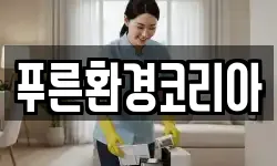 푸른환경코리아