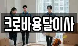 크로바용달이사