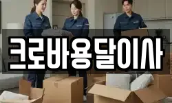크로바용달이사