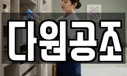 다원공조