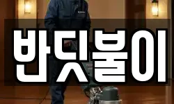 반딧불이