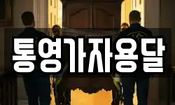 통영가자용달