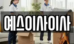 예스이사이사