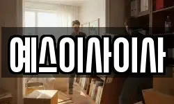 예스이사이사