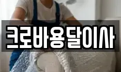 크로바용달이사