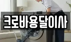 경상남도 통영시 중앙동 이사,용달이사,포장이사,원룸이사,보관이사