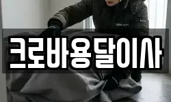 경상남도 통영시 태평동 이사,용달이사,포장이사,원룸이사,보관이사