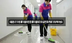 경상남도 통영시 한산면 청소,입주청소,사무실청소,에어컨청소