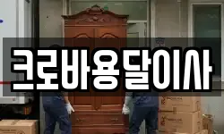 크로바용달이사