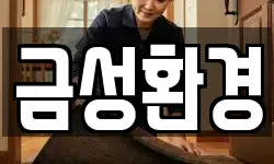 금성환경