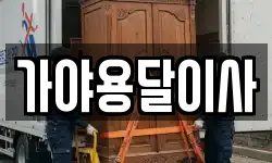 가야용달이사