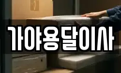 가야용달이사