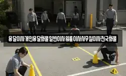 용달이사개인용달화물일반이사원룸이사사무실이사전국화물