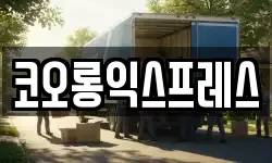 코오롱익스프레스
