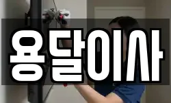 용달이사