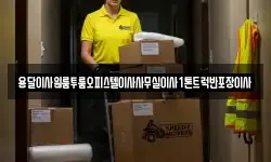 용달이사원룸투룸오피스텔이사사무실이사1톤트럭반포장이사