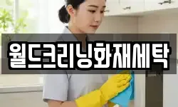 경상남도 함양군 병곡면 청소,입주청소,사무실청소,에어컨청소
