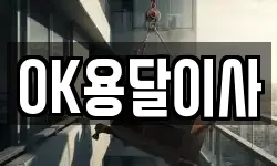 OK용달이사