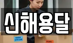 신해용달