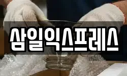 삼일익스프레스