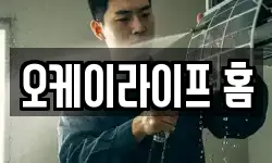 오케이라이프 홈