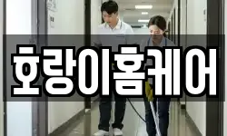 호랑이홈케어