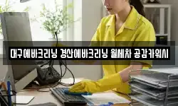 대구에바크리닝 경산에바크리닝 월세차 공감카워시