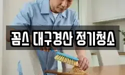 꼼스 대구경산 정기청소