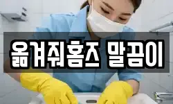 옮겨줘홈즈 말끔이