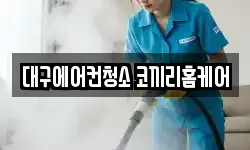 대구에어컨청소 코끼리홈케어
