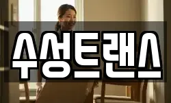 수성트랜스