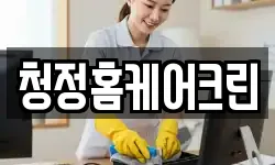 청정홈케어크린