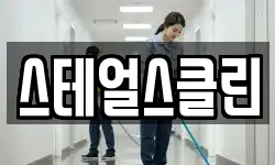 스테얼스클린