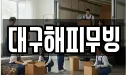 대구해피무빙