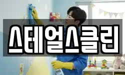 스테얼스클린