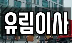 유림이사