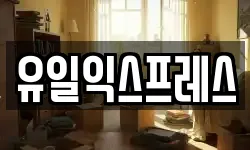 유일익스프레스