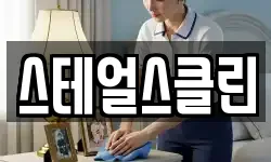 스테얼스클린