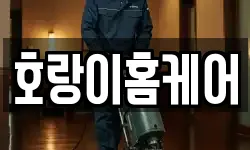 호랑이홈케어