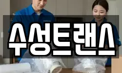 수성트랜스