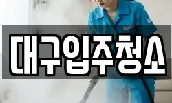 대구입주청소