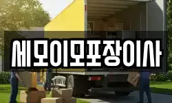 세모이모포장이사