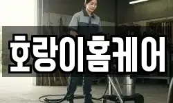 호랑이홈케어