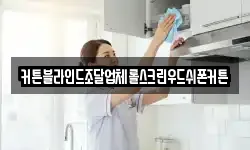 커튼블라인드조달업체롤스크린우드쉬폰커튼