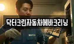 닥터크린자동차에바크리닝