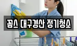 꼼스 대구경산 정기청소