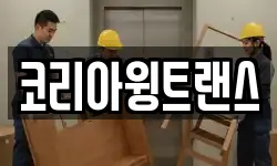 코리아윙트랜스