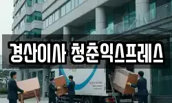 경산이사 청춘익스프레스