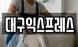 대구익스프레스