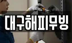 경상북도 경산시 중방동 이사,용달이사,포장이사,원룸이사,보관이사